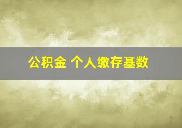 公积金 个人缴存基数